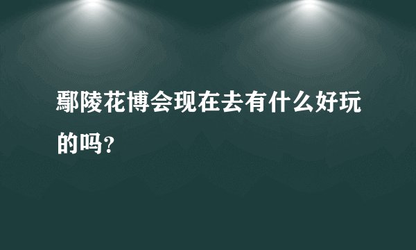 鄢陵花博会现在去有什么好玩的吗？
