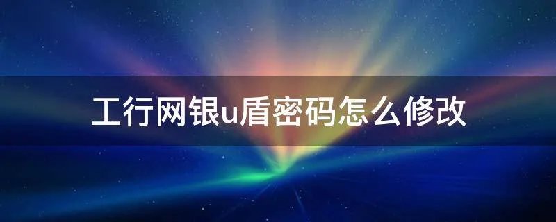工行网银u盾密码怎么修改
