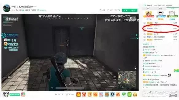 王思聪2亿签约的美女主播,为何又回到了斗鱼?