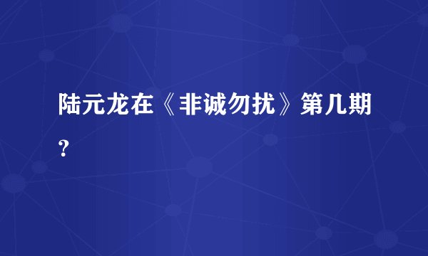 陆元龙在《非诚勿扰》第几期？