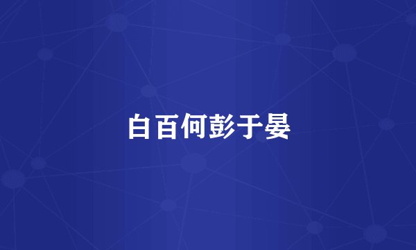 白百何彭于晏