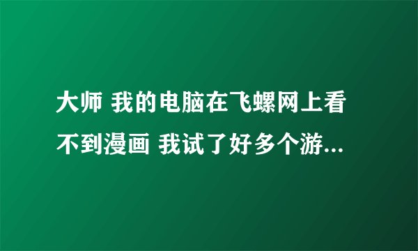 大师 我的电脑在飞螺网上看不到漫画 我试了好多个游览器 还是不行 不知道是不是IE设置问题