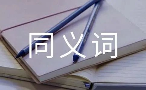 完善的同义词是