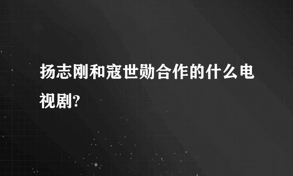 扬志刚和寇世勋合作的什么电视剧?