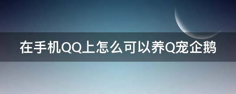 在手机QQ上怎么可以养Q宠企鹅