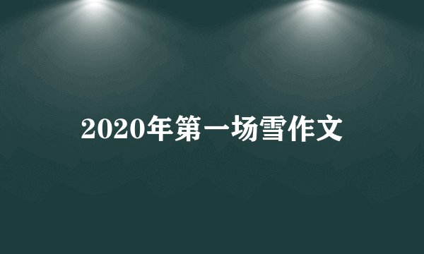 2020年第一场雪作文