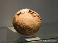 恐龙之最?