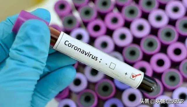 如果西方国家最后都放弃检测向病毒屈服了,我们怎么办?
