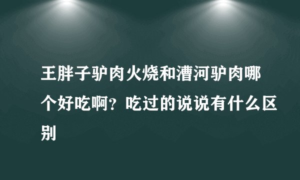 王胖子驴肉火烧和漕河驴肉哪个好吃啊？吃过的说说有什么区别