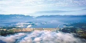 美景再现!三峡库区再现水中森林,这是什么现象?