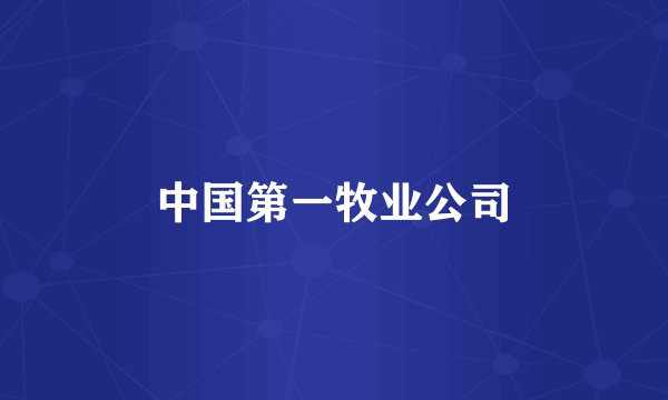 中国第一牧业公司