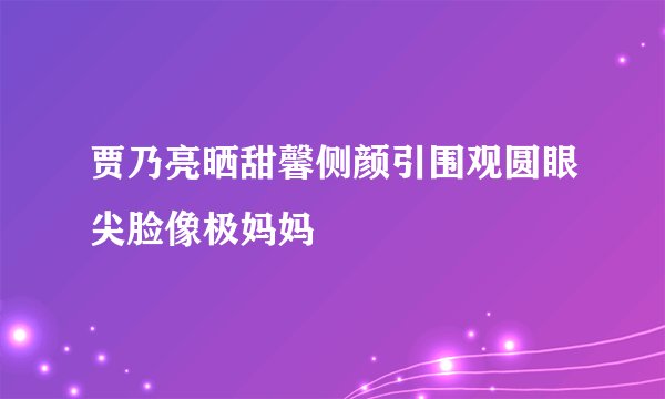 贾乃亮晒甜馨侧颜引围观圆眼尖脸像极妈妈