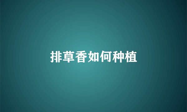 排草香如何种植