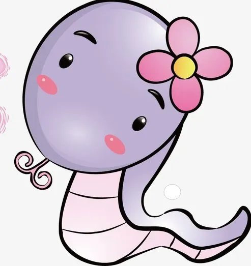天生是赚钱的料,一生不缺钱花的生肖都有哪些?