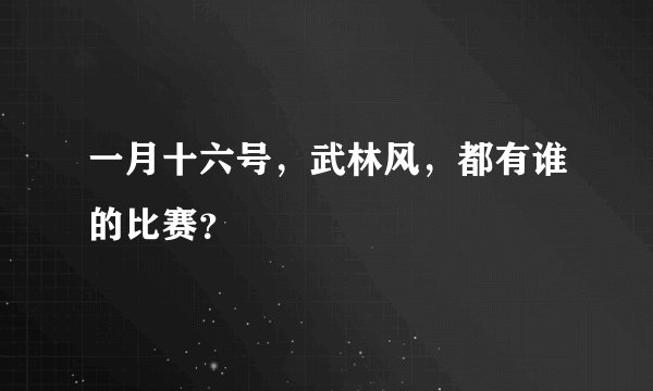 一月十六号，武林风，都有谁的比赛？