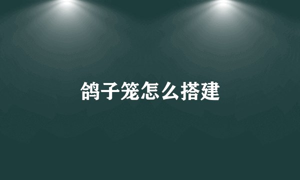 鸽子笼怎么搭建