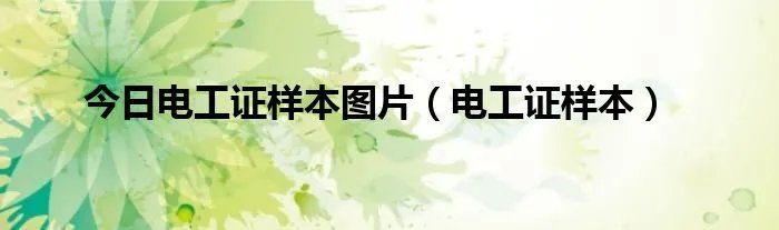 今日电工证样本图片（电工证样本）