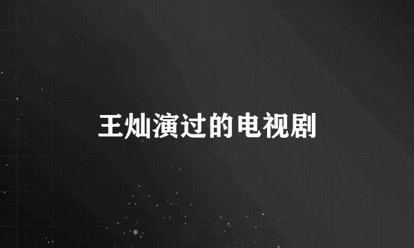 王灿演过的电视剧