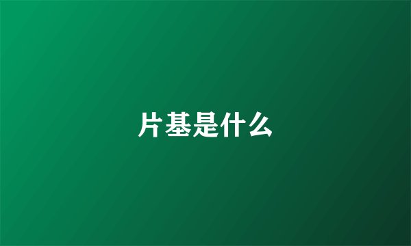 片基是什么