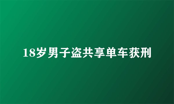 18岁男子盗共享单车获刑