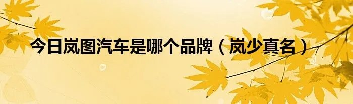 今日岚图汽车是哪个品牌（岚少真名）