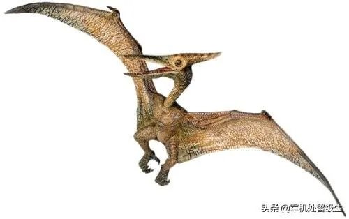 恐龙之最?