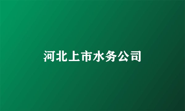 河北上市水务公司