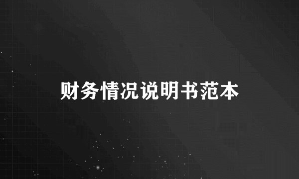 财务情况说明书范本