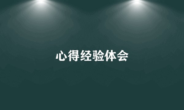 心得经验体会