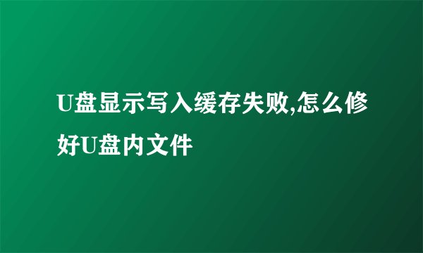 U盘显示写入缓存失败,怎么修好U盘内文件