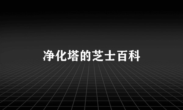 净化塔的芝士百科