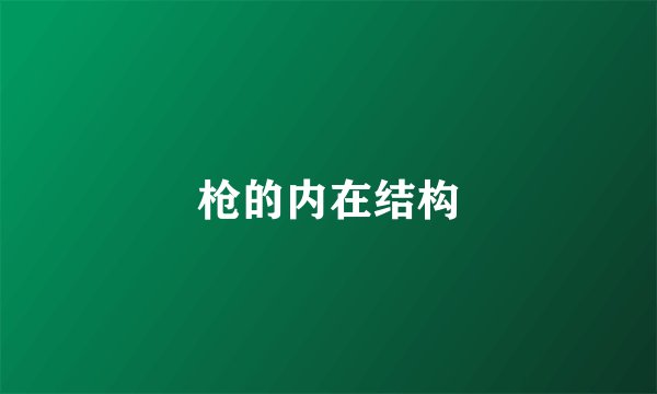 枪的内在结构