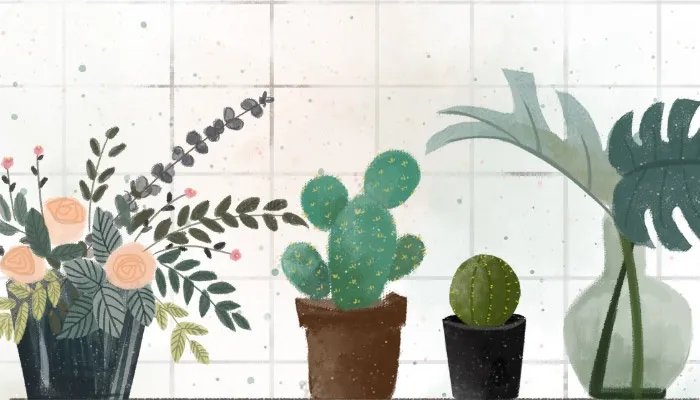 滴水观音的作用 滴水观音有哪些作用