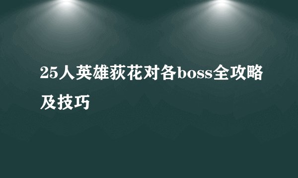 25人英雄荻花对各boss全攻略及技巧