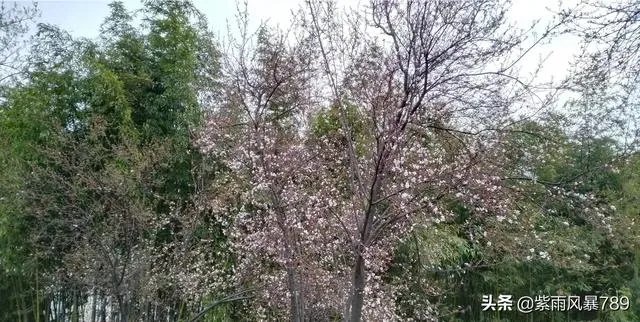 在这个三八妇女节,你对心中的女神最想说什么话?