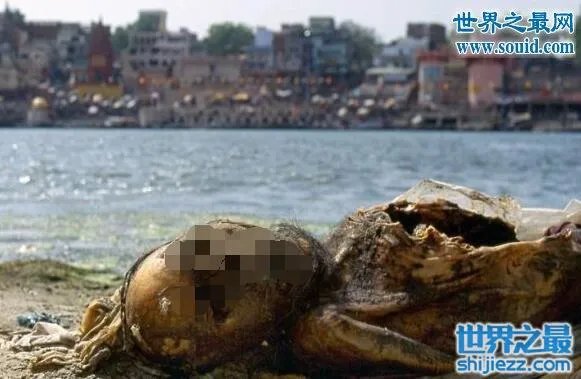 恐怖的印度水葬现场图片,超级重口味(还是别看了)