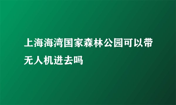 上海海湾国家森林公园可以带无人机进去吗