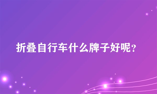 折叠自行车什么牌子好呢？