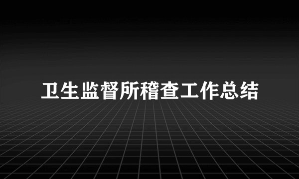 卫生监督所稽查工作总结