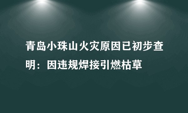 青岛小珠山火灾原因已初步查明：因违规焊接引燃枯草