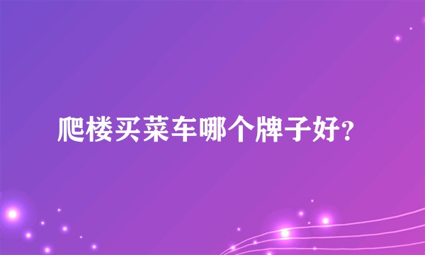 爬楼买菜车哪个牌子好？