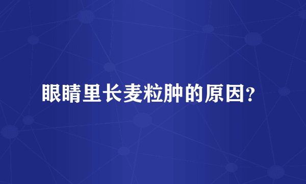 眼睛里长麦粒肿的原因？
