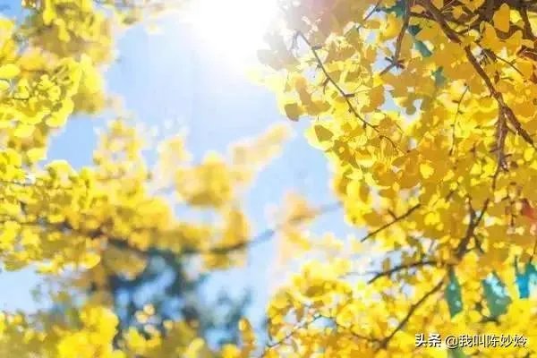 有一首歌深深的打动了自己,自己怎样演唱这首歌曲,才能同样打动别人啊?