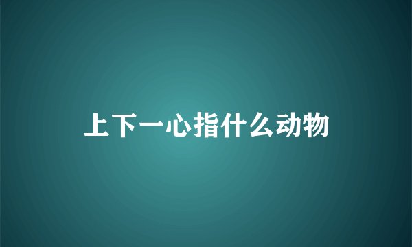 上下一心指什么动物