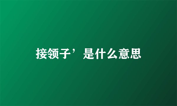 接领子’是什么意思