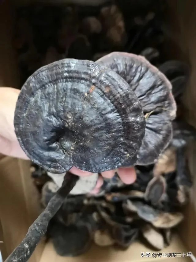 龙岩和三明的房地产市场谁更有潜力?