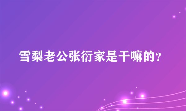 雪梨老公张衍家是干嘛的？
