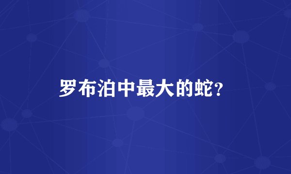 罗布泊中最大的蛇？