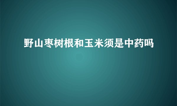 野山枣树根和玉米须是中药吗