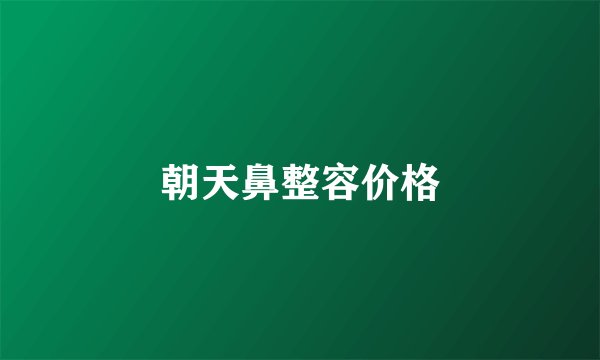 朝天鼻整容价格